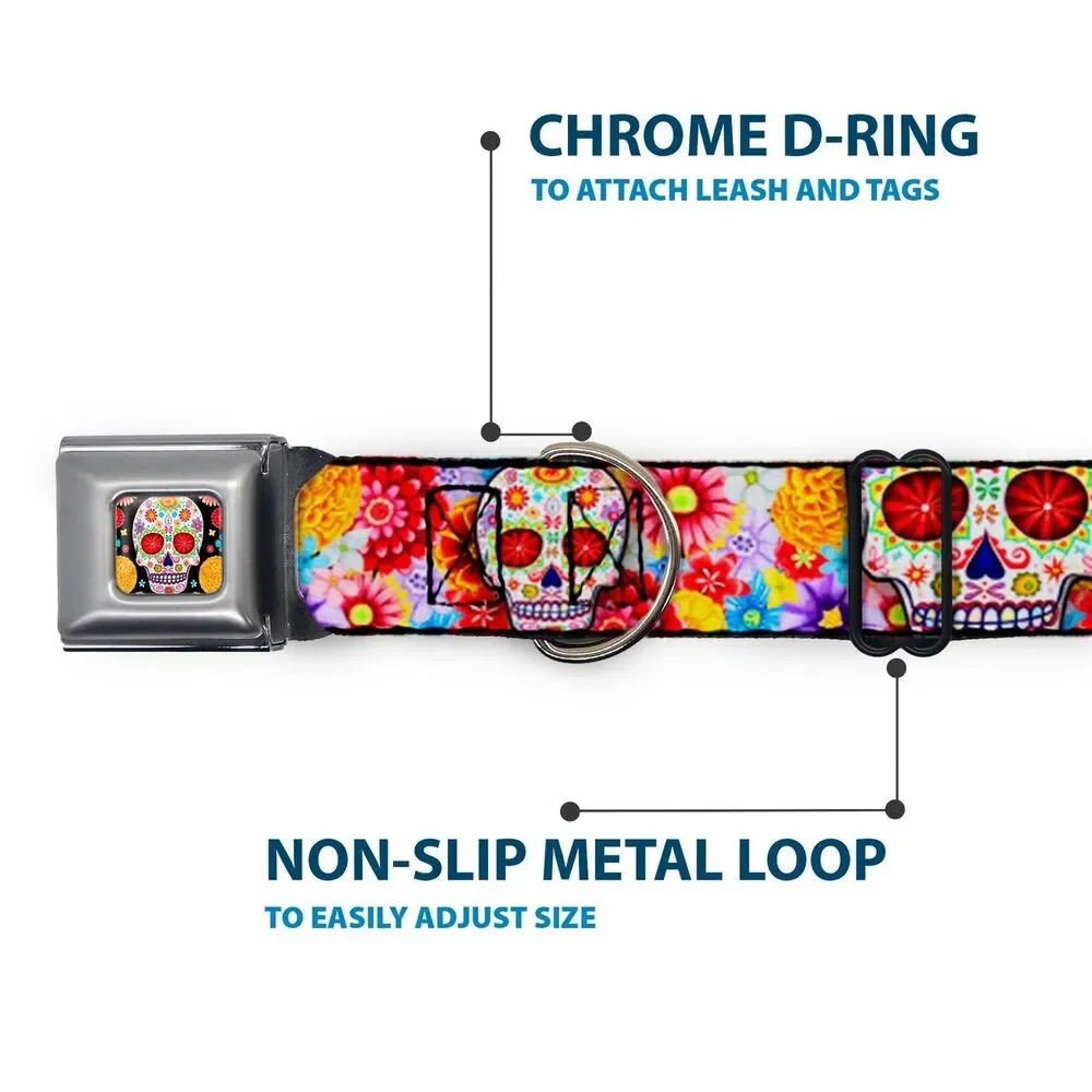 Sugar Skull Starburst Seatbelt Buckle Dog Collar 20-31” Black Multicolor 1.5”